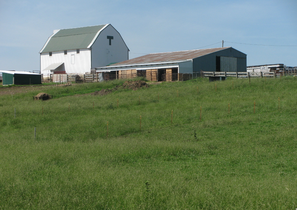 daviess-county-barn