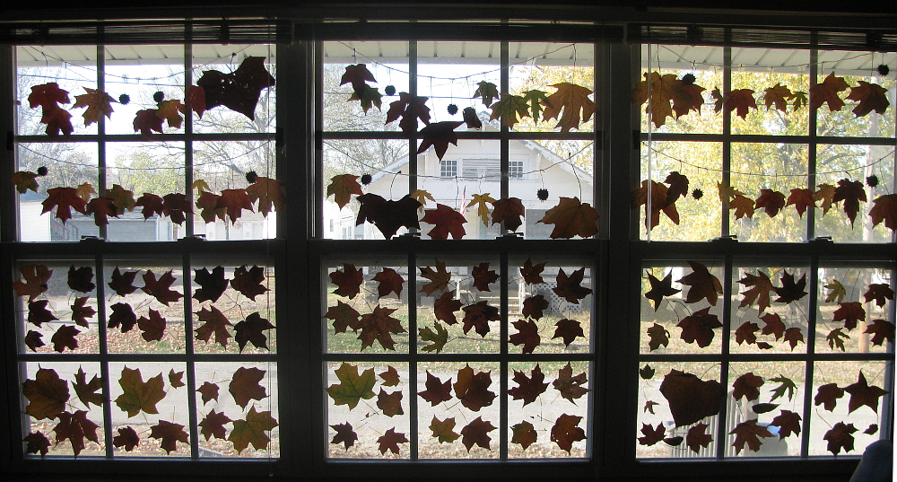 leaves-in-windows