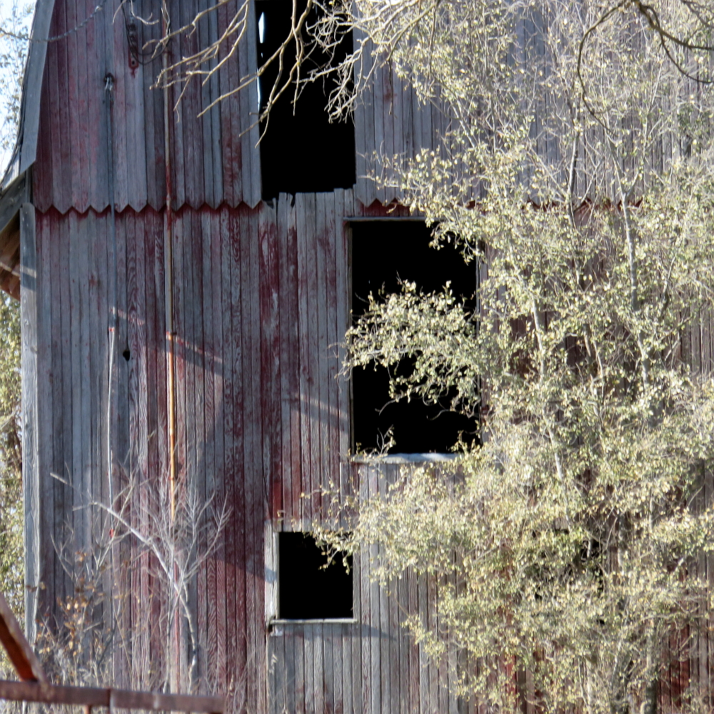 Daviess County, MO old barn(1)(1000x1000)