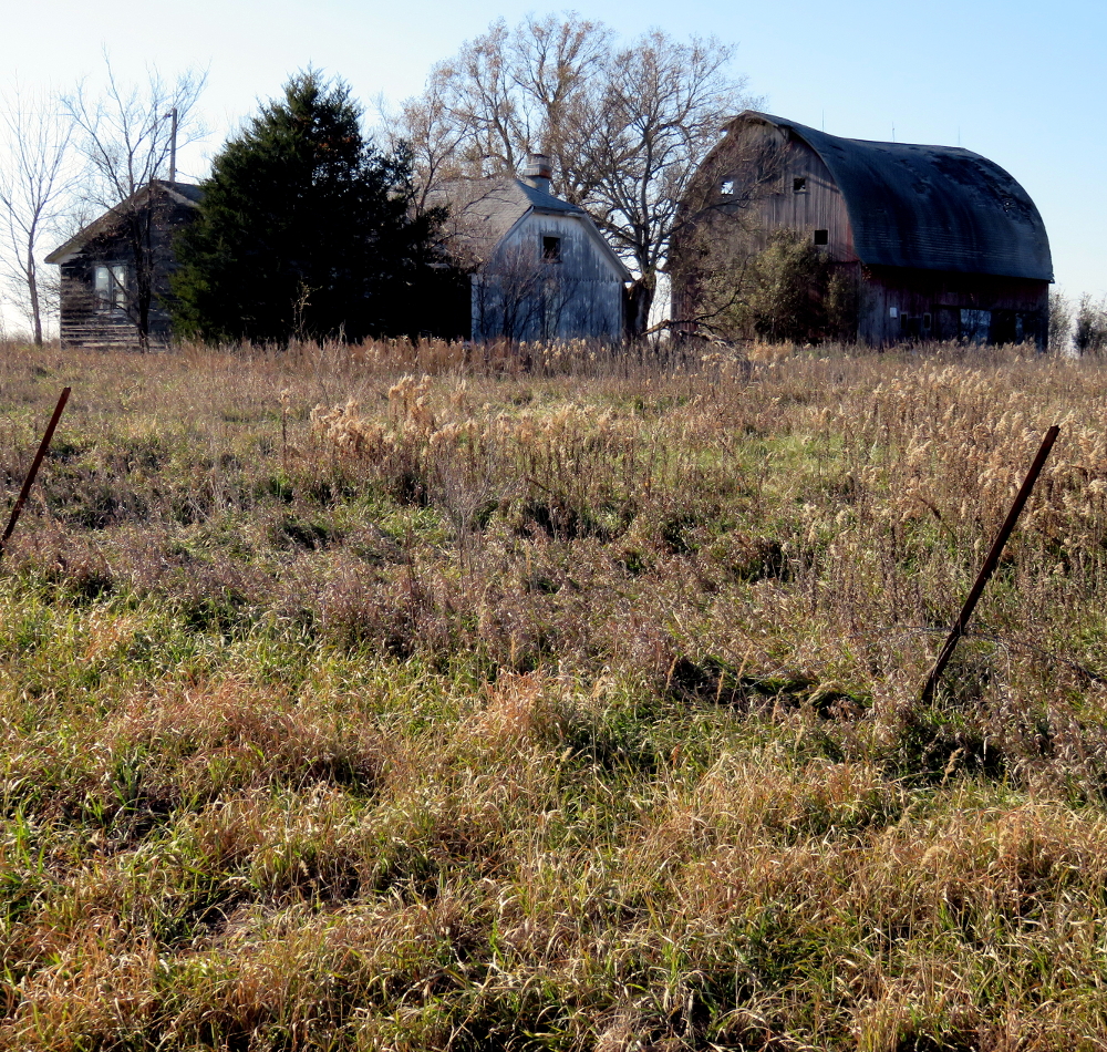 Daviess County, MO old farm(1000x950)